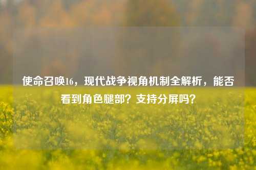 使命召唤16,现代战争视角机制全解析,能否看到角色腿部?支持分屏吗?