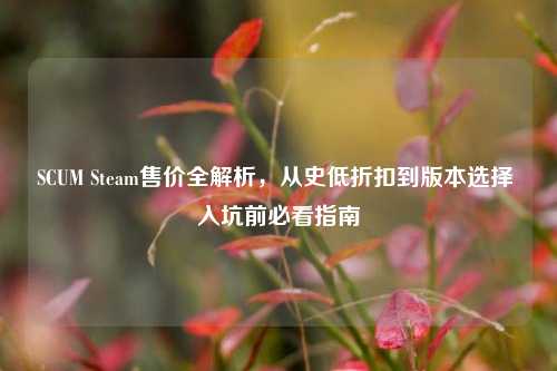 SCUM Steam售价全解析,从史低折扣到版本选择 入坑前必看指南