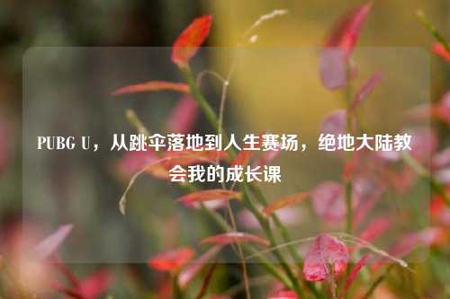PUBG U,从跳伞落地到人生赛场,绝地大陆教会我的成长课