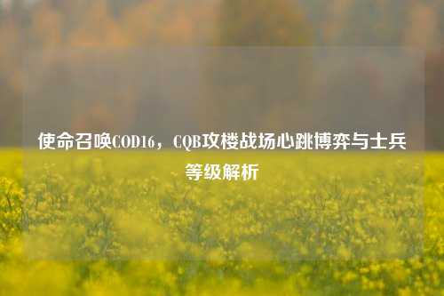 使命召唤COD16,CQB攻楼战场心跳博弈与士兵等级解析
