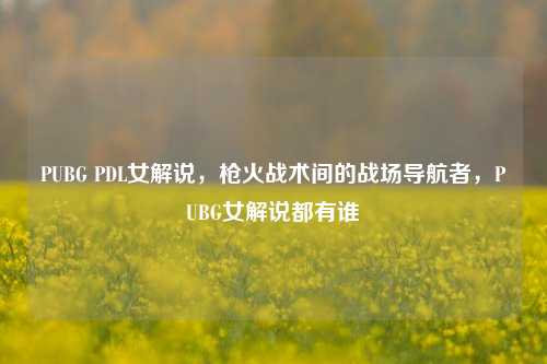 PUBG PDL女解说,枪火战术间的战场导航者,PUBG女解说都有谁