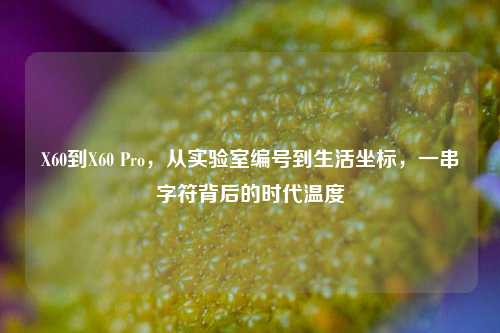 X60到X60 Pro,从实验室编号到生活坐标,一串字符背后的时代温度