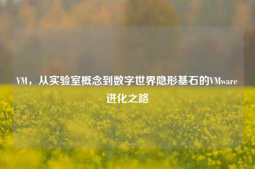 VM,从实验室概念到数字世界隐形基石的VMware进化之路