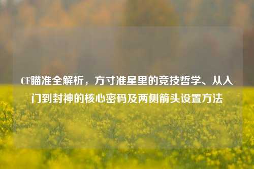 CF瞄准全解析,方寸准星里的竞技哲学、从入门到封神的核心密码及两侧箭头设置方法