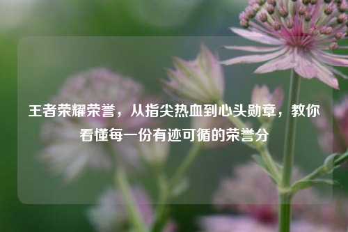 王者荣耀荣誉,从指尖热血到心头勋章,教你看懂每一份有迹可循的荣誉分