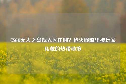 CSGO无人之岛观光区在哪?枪火缝隙里被玩家私藏的热带秘境