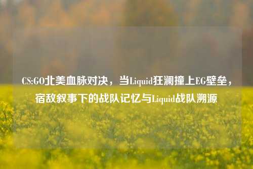 CS:GO北美血脉对决,当Liquid狂澜撞上EG壁垒,宿敌叙事下的战队记忆与Liquid战队溯源