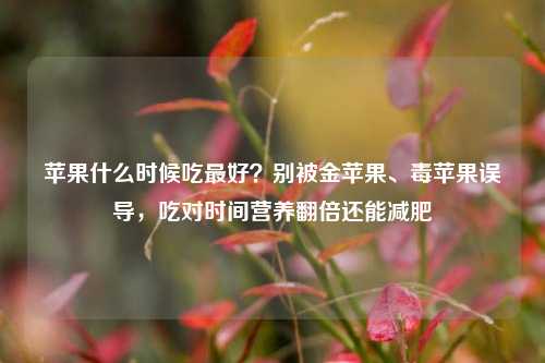 苹果什么时候吃最好?别被金苹果、毒苹果误导,吃对时间营养翻倍还能减肥