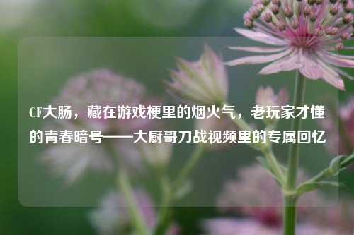 CF大肠,藏在游戏梗里的烟火气,老玩家才懂的青春暗号——大厨哥刀战视频里的专属回忆