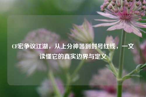 CF宏争议江湖,从上分神器到封号红线,一文读懂它的真实边界与定义