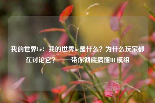 我的世界bc:我的世界bc是什么?为什么玩家都在讨论它?——带你彻底搞懂BC模组