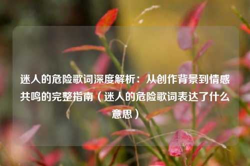 迷人的危险歌词深度解析：从创作背景到情感共鸣的完整指南（迷人的危险歌词表达了什么意思）