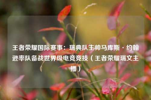 王者荣耀国际赛事：瑞典队主帅马库斯·约翰逊率队备战世界级电竞竞技（王者荣耀瑞文主播）