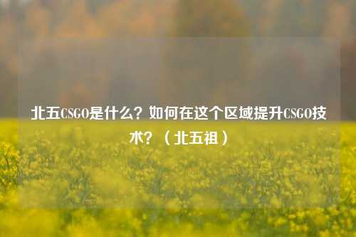 北五CSGO是什么?如何在这个区域提升CSGO技术?(北五祖)