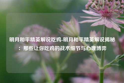 明月和平精英解说吃鸡-明月和平精英解说揭秘:那些让你吃鸡的战术细节与心理博弈