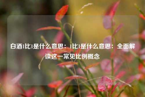 白酒1比1是什么意思:1比1是什么意思:全面解读这一常见比例概念