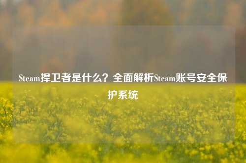 Steam捍卫者是什么？全面解析Steam账号安全保护系统
