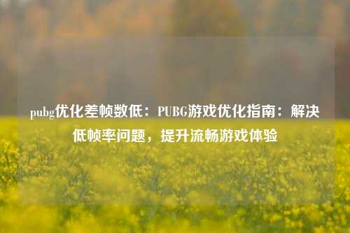 pubg优化差帧数低:PUBG游戏优化指南:解决低帧率问题,提升流畅游戏体验