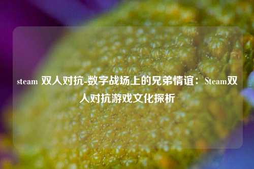 steam 双人对抗-数字战场上的兄弟情谊:Steam双人对抗游戏文化探析
