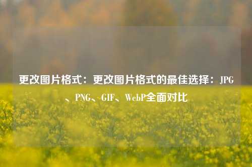 更改图片格式：更改图片格式的最佳选择：JPG、PNG、GIF、WebP全面对比