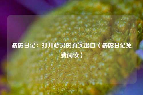 暴露日记:打开心灵的真实出口(暴露日记免费阅读)